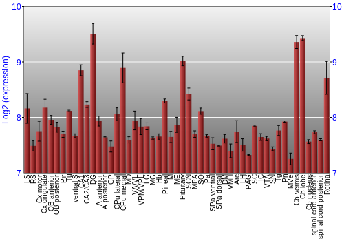 Expression graph