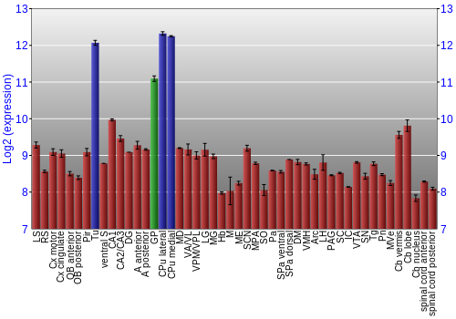 Multi-state expression graph