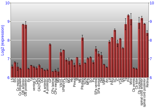 Expression graph