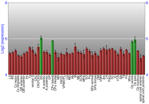Multi-state expression graph