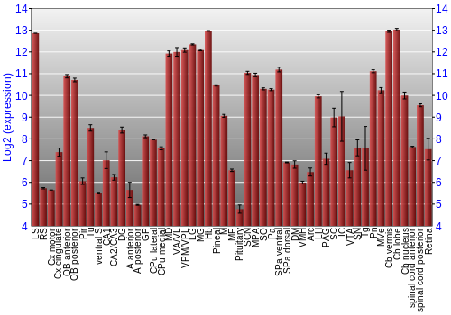 Expression graph