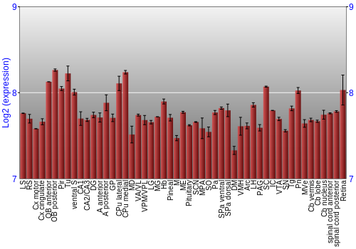 Expression graph