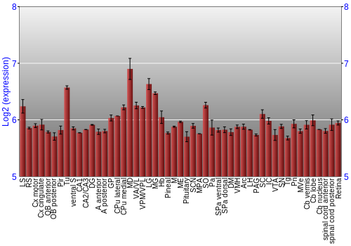 Expression graph