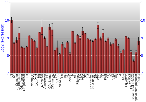 Expression graph