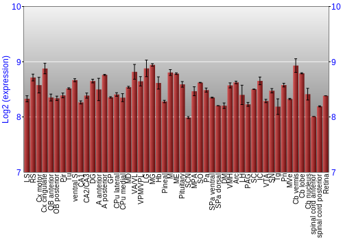 Expression graph