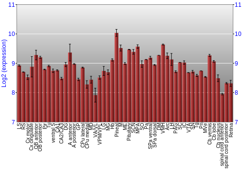 Expression graph