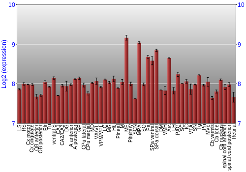 Expression graph