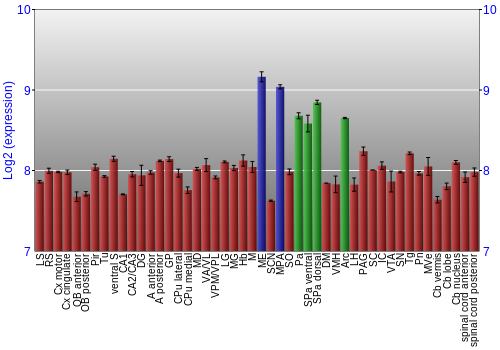 Multi-state expression graph