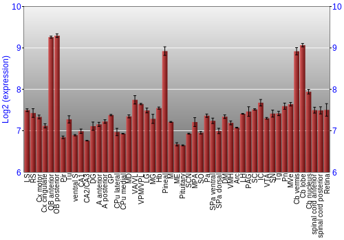 Expression graph