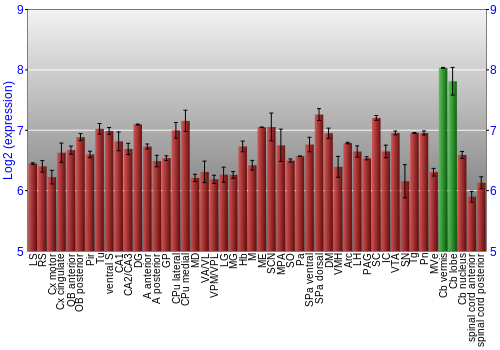 Multi-state expression graph
