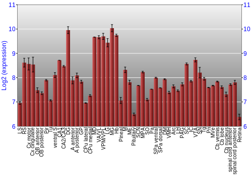 Expression graph