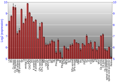 Expression graph