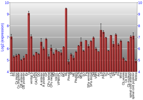 Expression graph