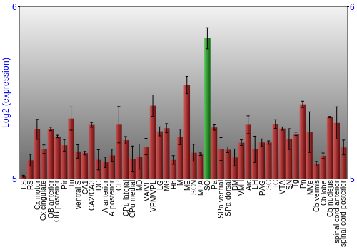 Multi-state expression graph