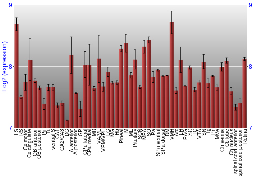 Expression graph