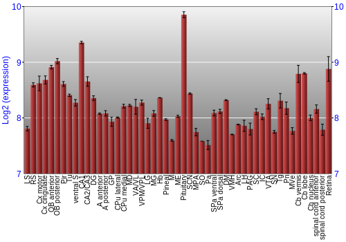 Expression graph