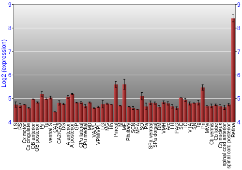 Expression graph