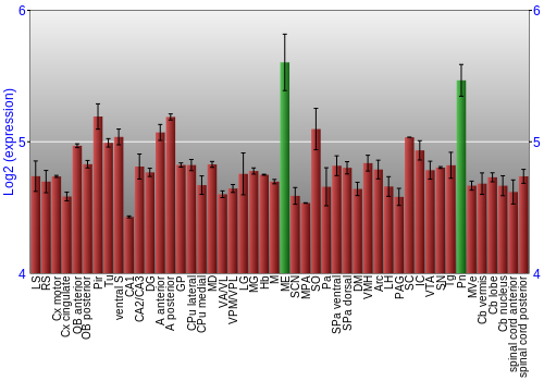 Multi-state expression graph