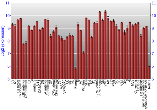 Expression graph