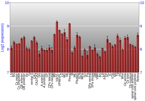Expression graph