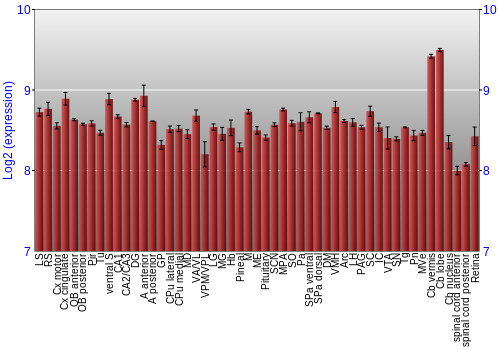 Expression graph