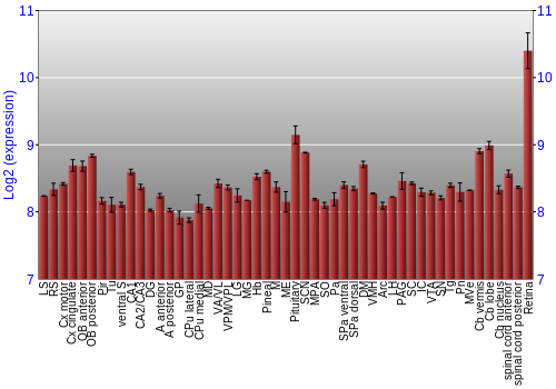 Expression graph