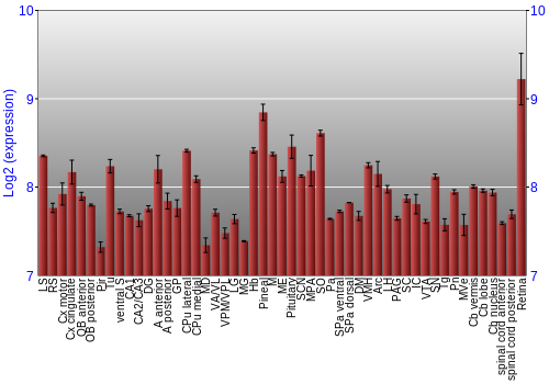 Expression graph