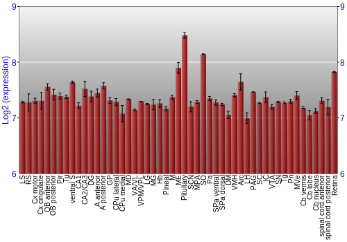 Expression graph