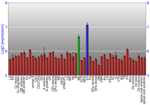 Multi-state expression graph