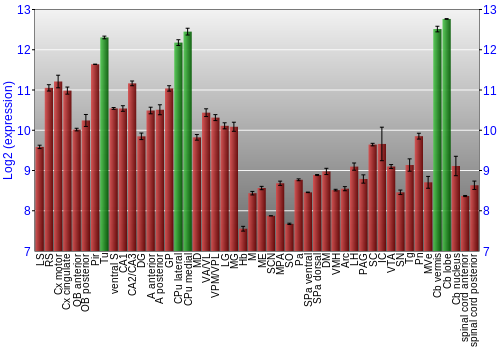 Multi-state expression graph