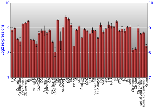 Expression graph