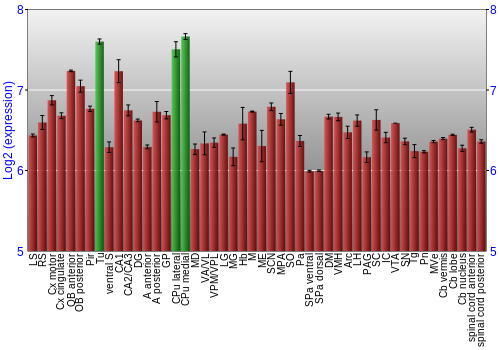 Multi-state expression graph