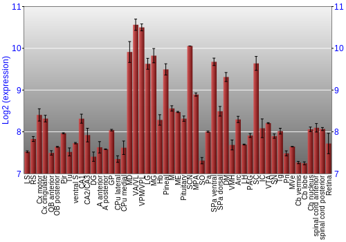 Expression graph