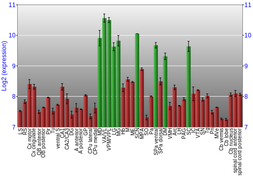 Multi-state expression graph