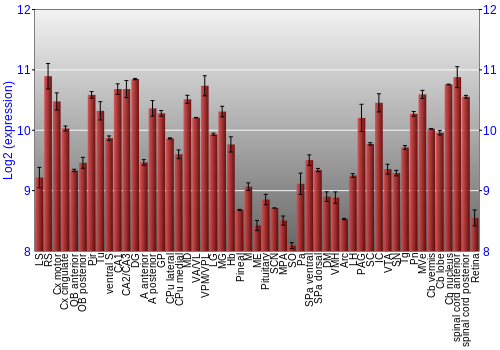 Expression graph