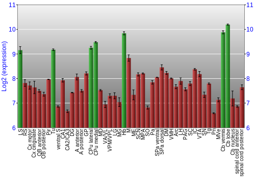 Multi-state expression graph