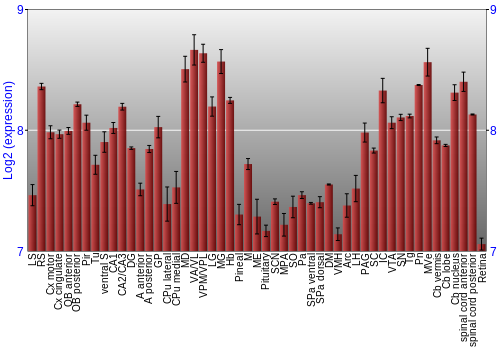 Expression graph