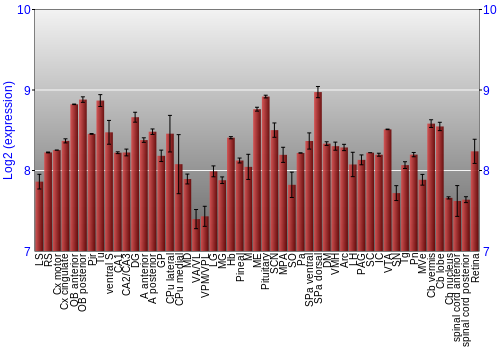 Expression graph