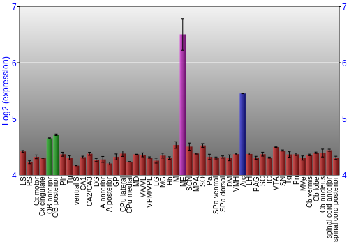 Multi-state expression graph