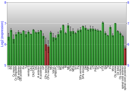 Multi-state expression graph