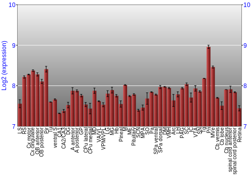 Expression graph