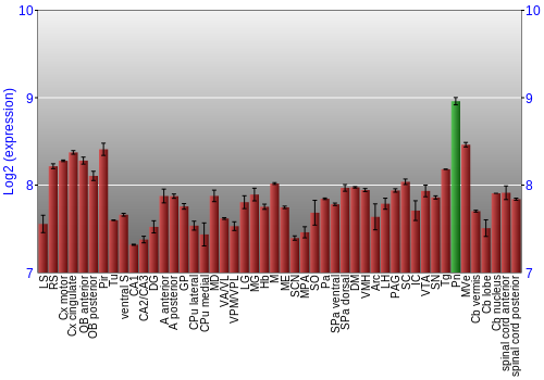 Multi-state expression graph