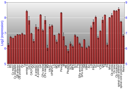 Expression graph