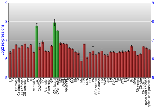 Multi-state expression graph