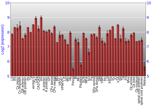 Expression graph