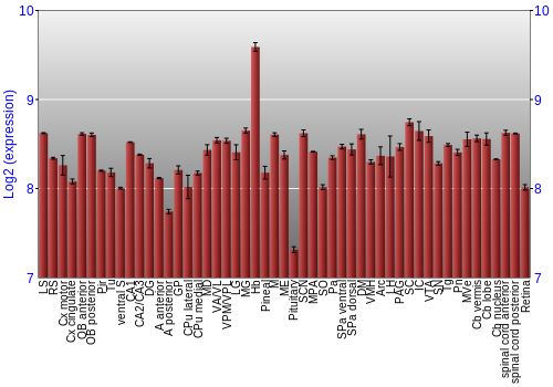 Expression graph