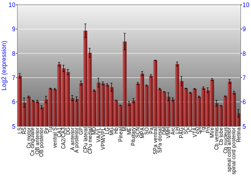 Expression graph