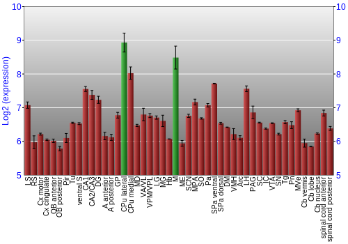Multi-state expression graph