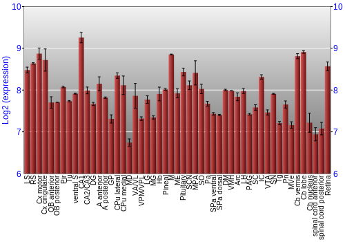 Expression graph