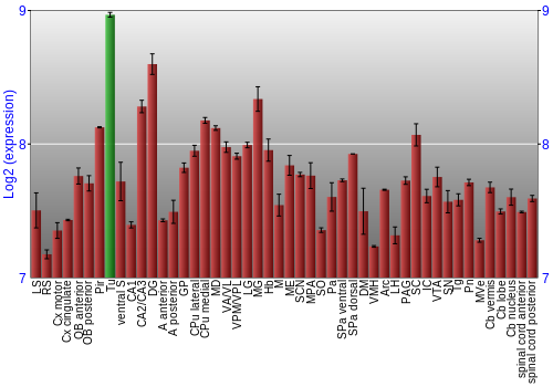 Multi-state expression graph